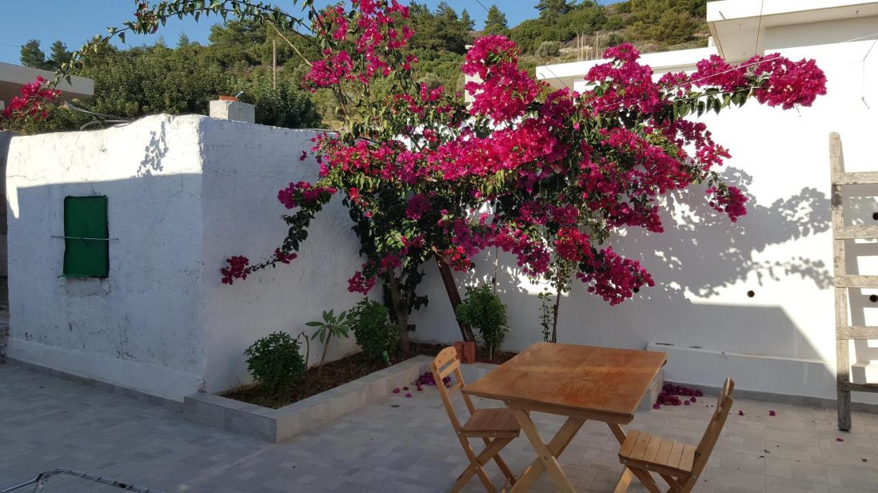 Maison De Village Au Calme - Alonia Village House Psinthos エクステリア 写真